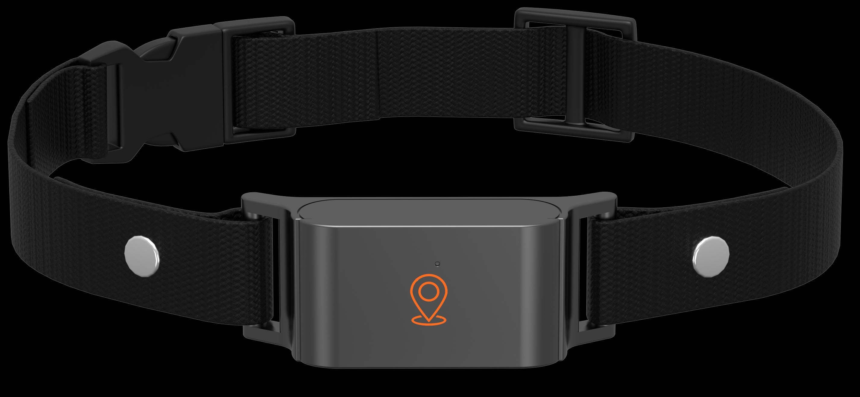 4G pet GPS tracker C09